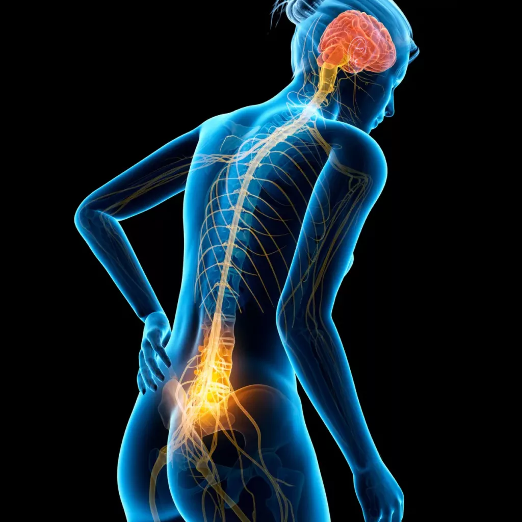 Sciatica Pain Relief While Sitting: A Surprisingly Simple Natural Remedy